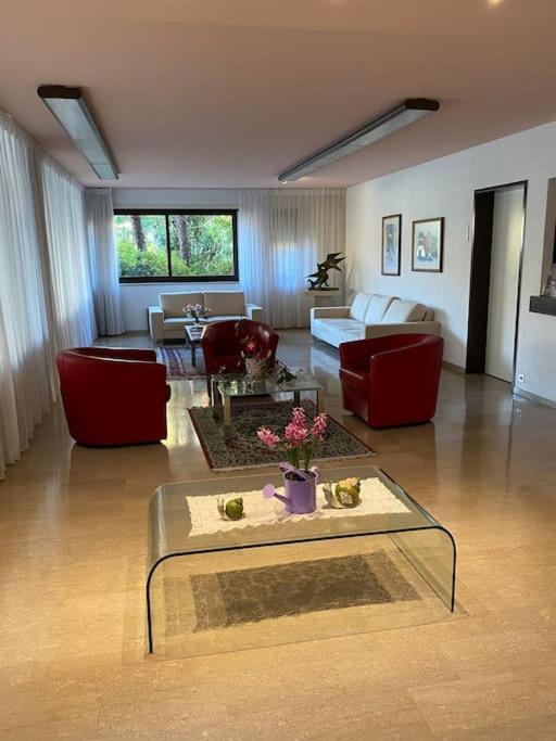 Ascona: Residenza Sabrina,App 2.5 Locali E Piscina Apartment Екстериор снимка